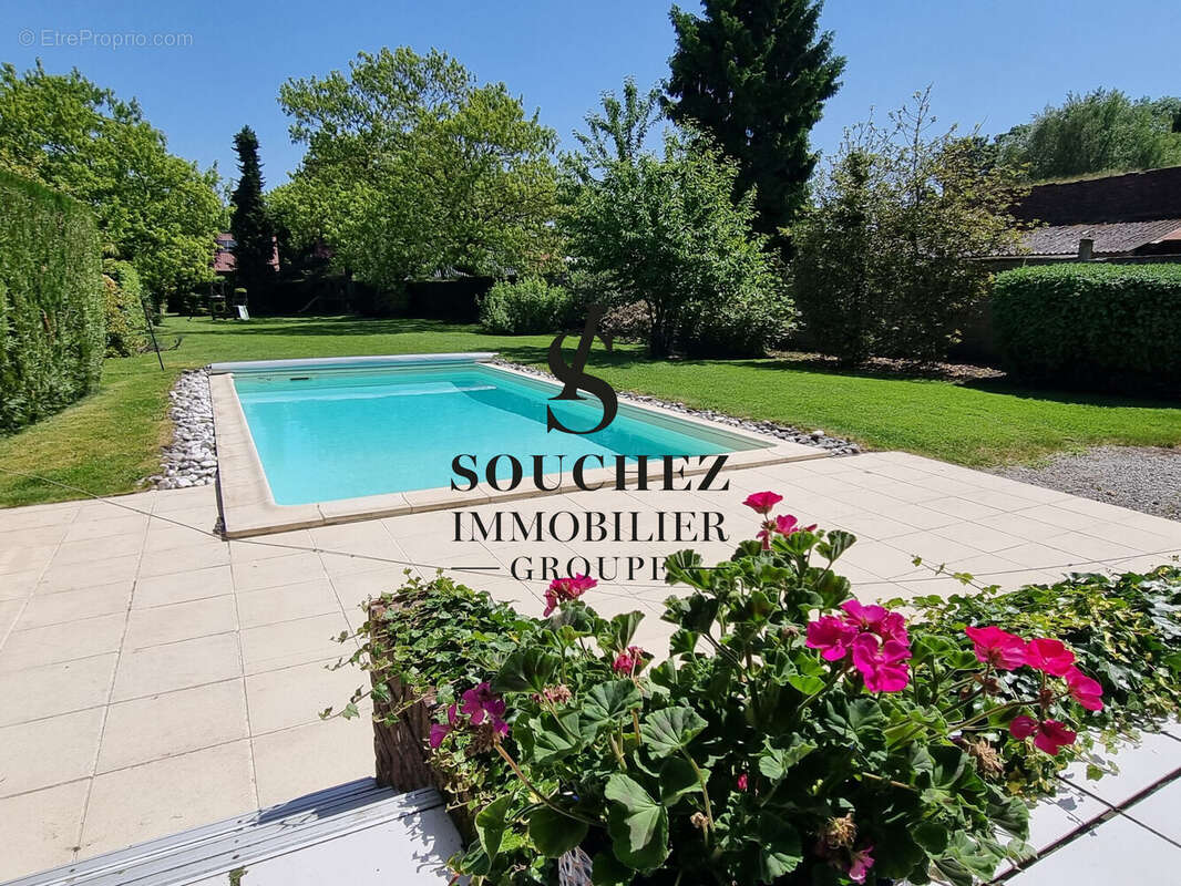 Maison 239 m² à Souchez  - photo 3