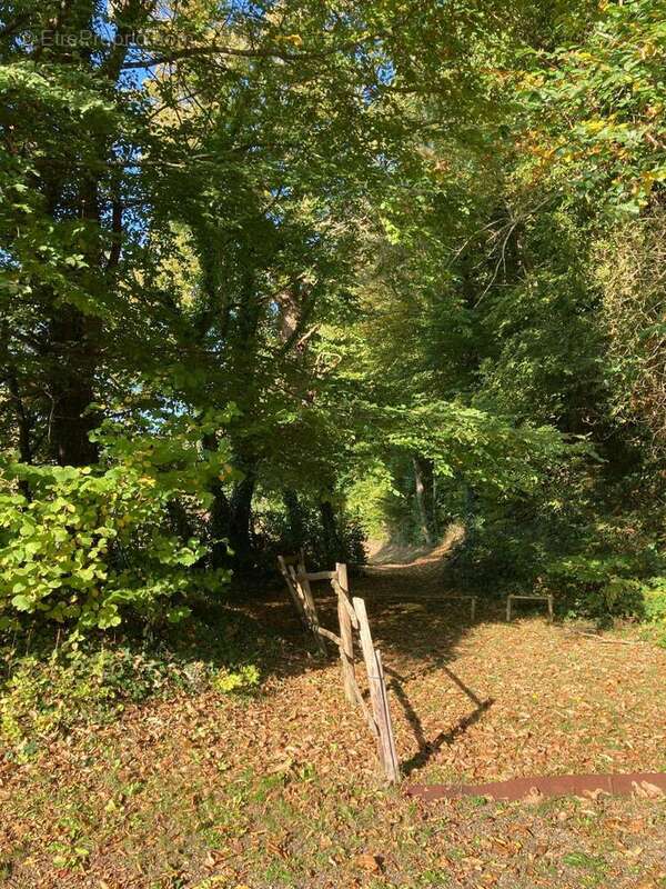 Photo 4 - Maison à SAINT-MARD-DE-RENO
