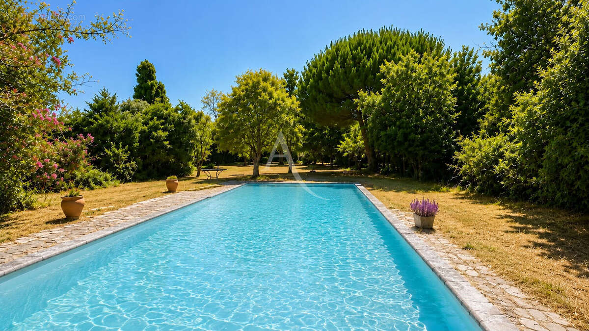 Belle Toulousaine T8 230m² sur parcelle arborée avec piscine de pus de 1900m² - photo 14