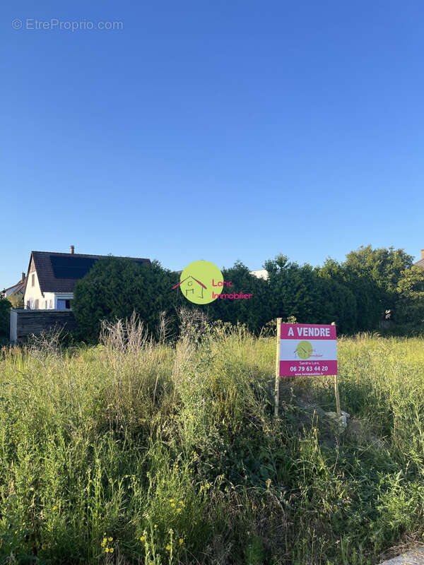 Terrain 450 m² à Eschau  - photo 2