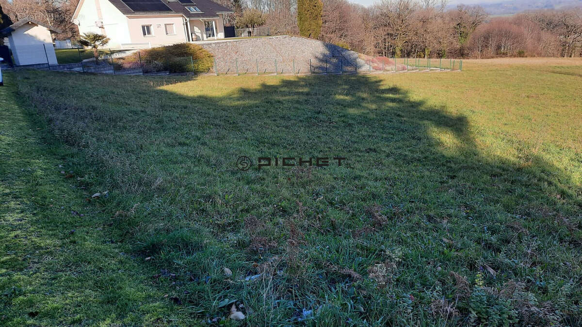 Terrain à SAINTE-FEREOLE