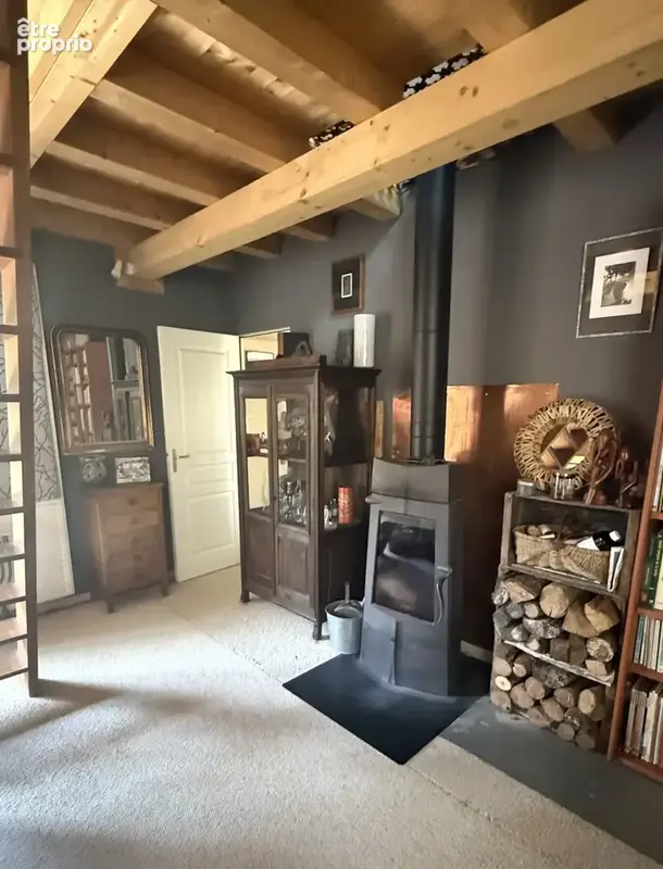 Maison 7 pièces 163 m² à vendre à Ternay (41800) - photo 9