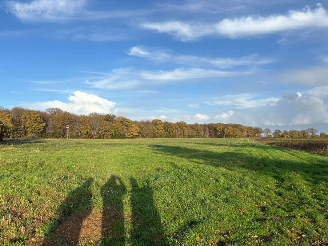 Maison à CHATEAU-GONTIER