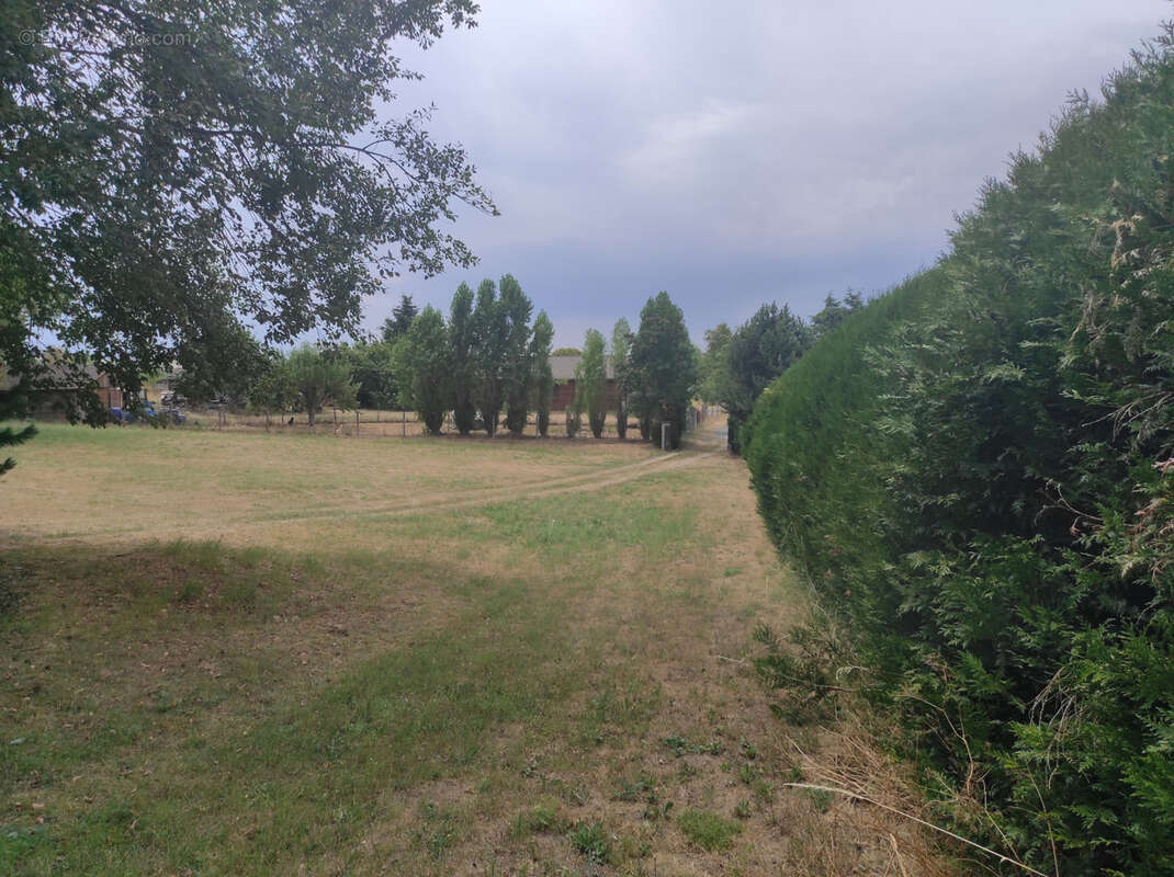 Maison de 1985 sur sous-sol complet avec grand terrain - photo 4