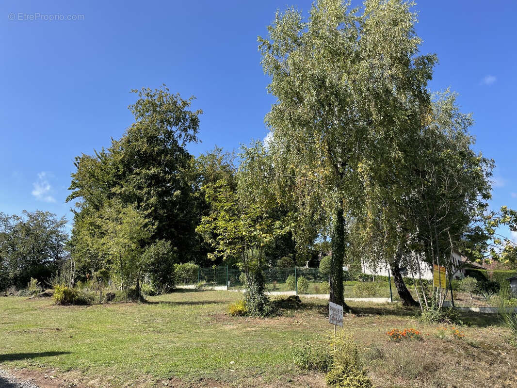 Proche Pompadour centre, voie sans issue - photo 13