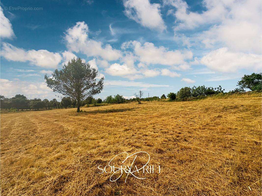 Terrain à VILLENEUVE-MINERVOIS