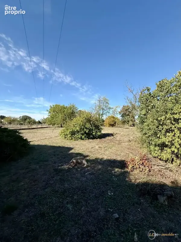 Maison 5 pièces 140 m² à vendre à Petit-Rederching (57410) - photo 4