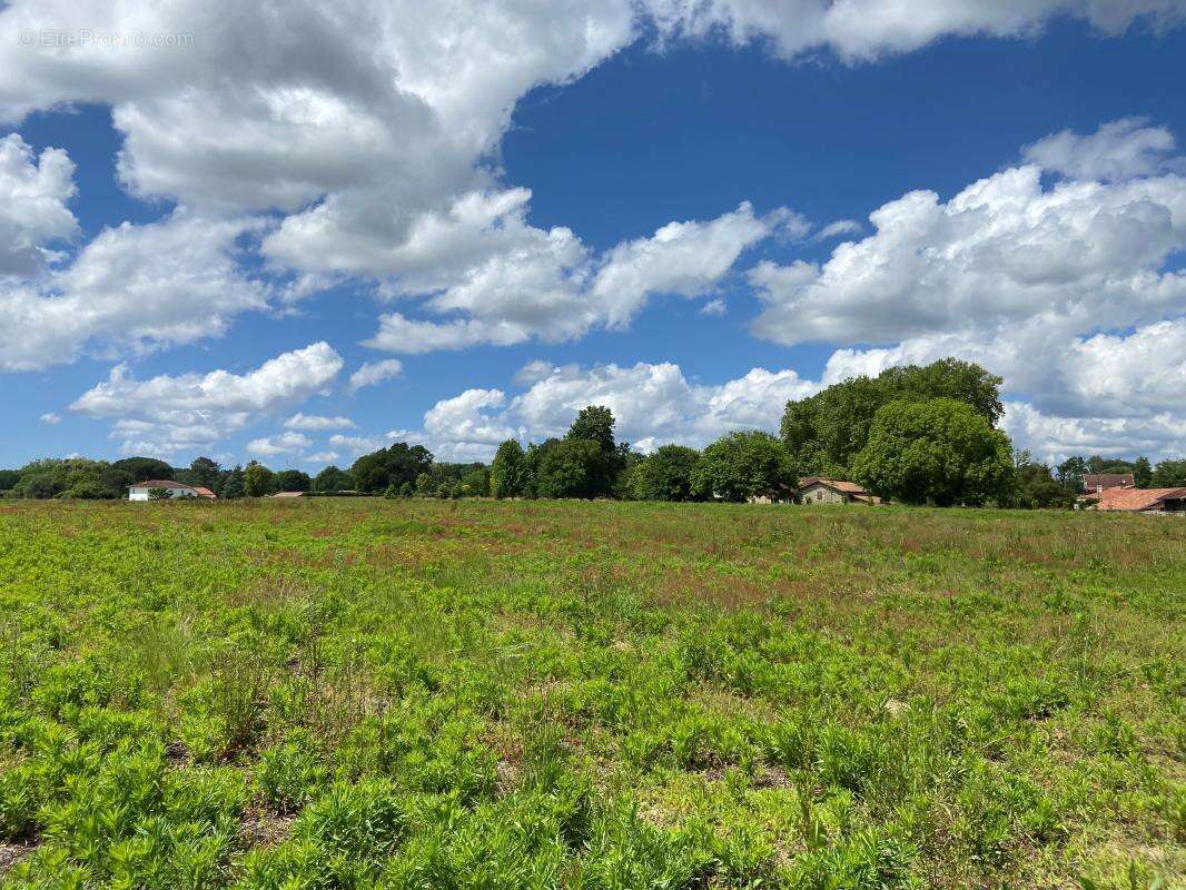 Terrain à SAUGNAC-ET-CAMBRAN