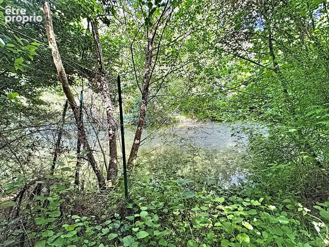 Exclusivite - cossesseville - terrain de loisirs - photo 9
