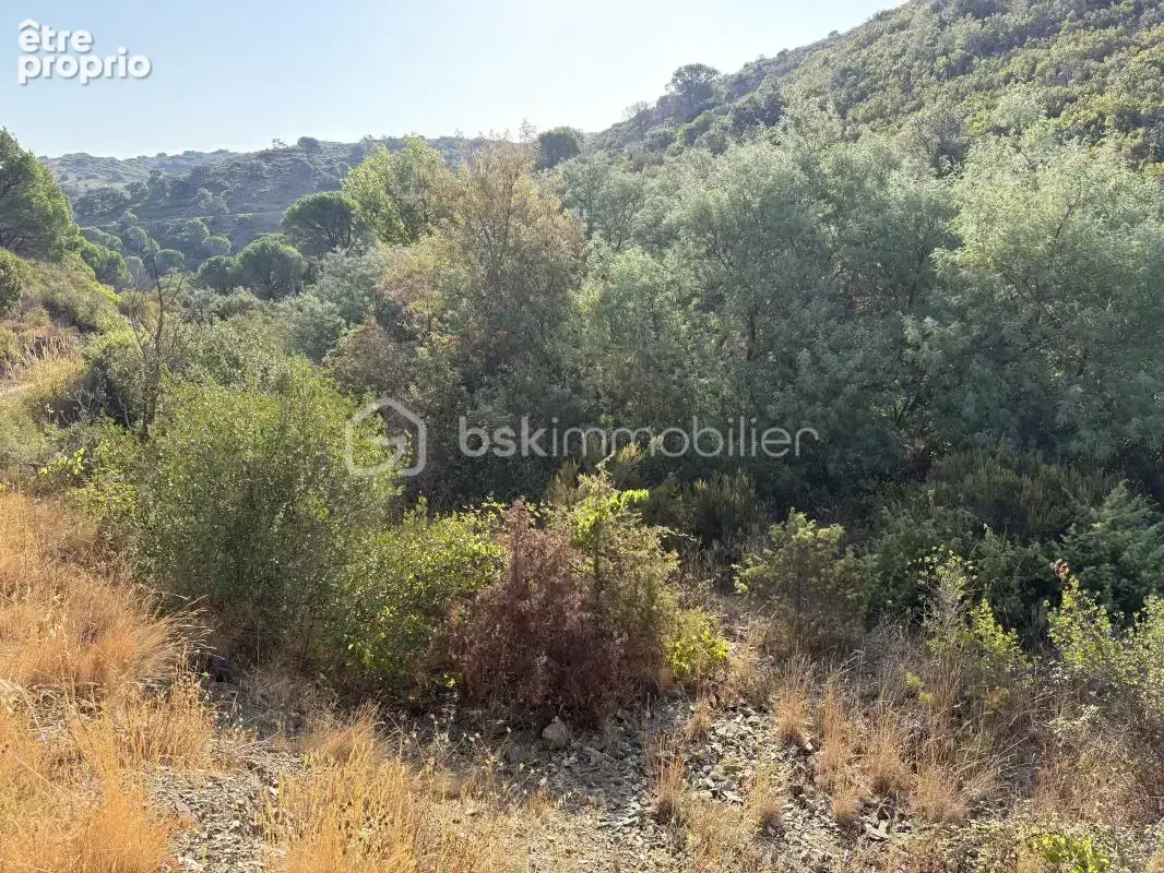 Lot de 5 terrains agricoles - photo 6