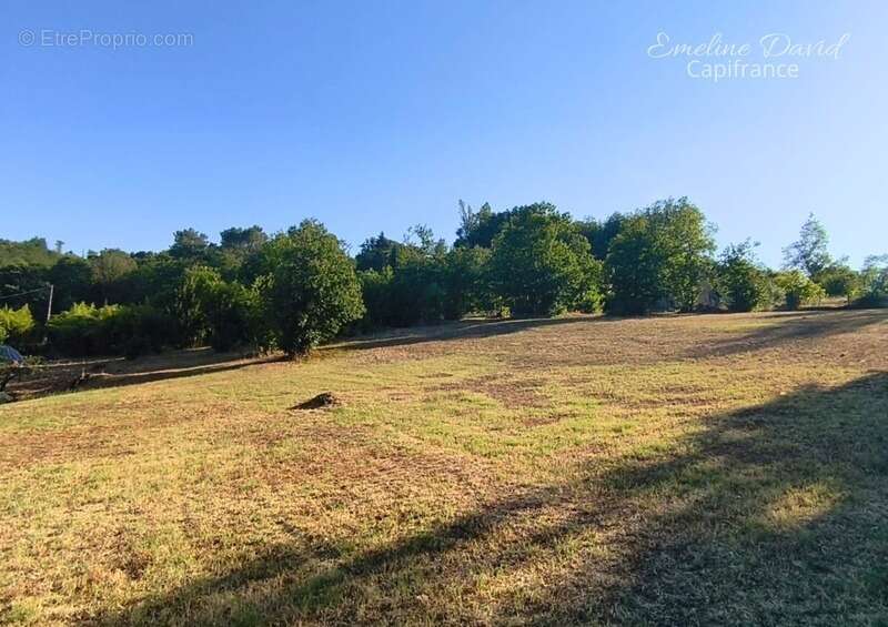 Secteur recherché – Maison de plain-pied avec piscine sur environ 7 000 m² - photo 4