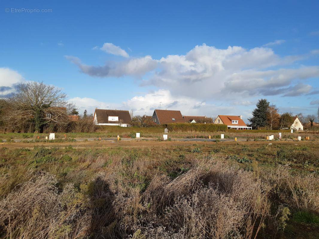 Terrain à BRETTEVILLE-SUR-LAIZE