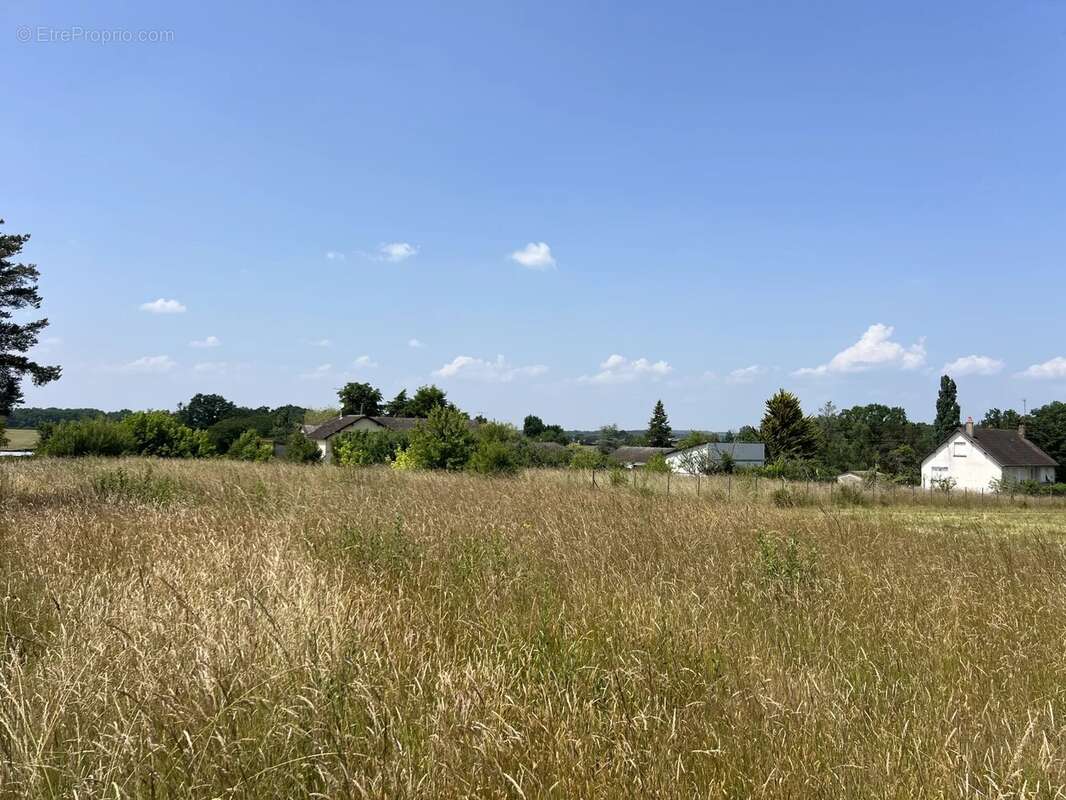 Terrain à SAINT-GEORGES-SUR-BAULCHE
