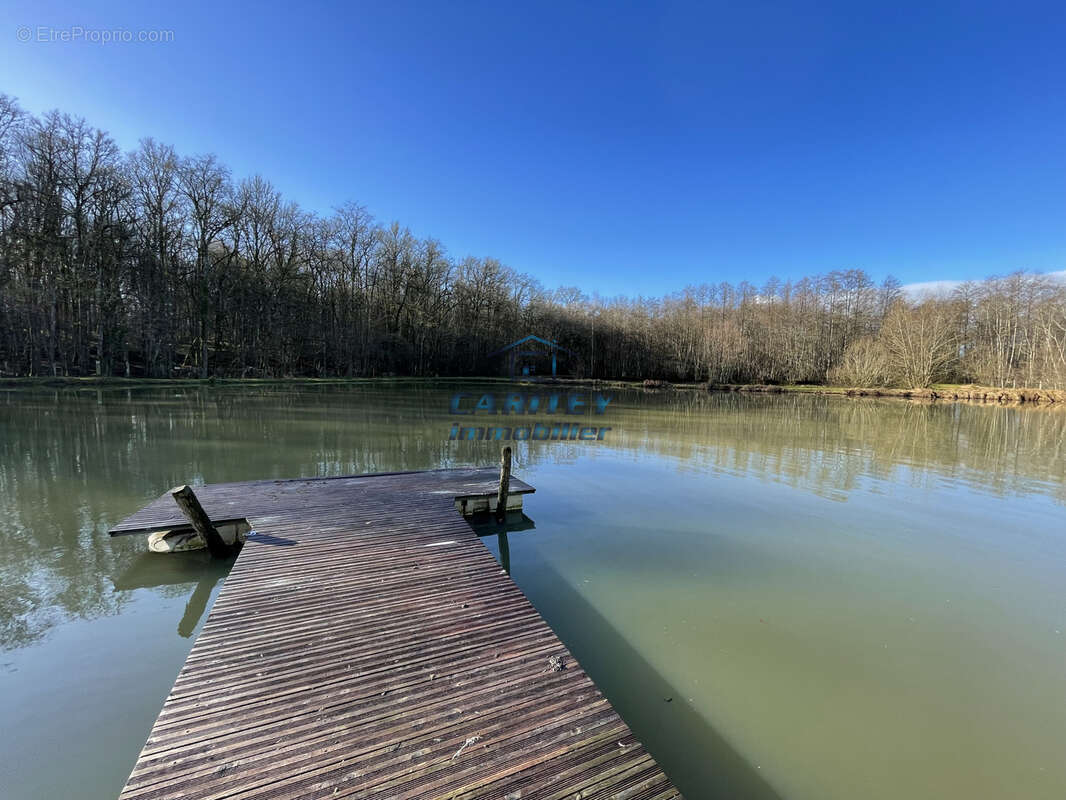 Terrain de loisir avec 3 etangs - axe lure / villersexel - photo 4