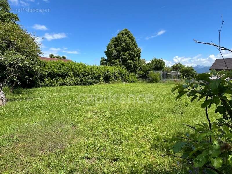 Terrain à SCIEZ