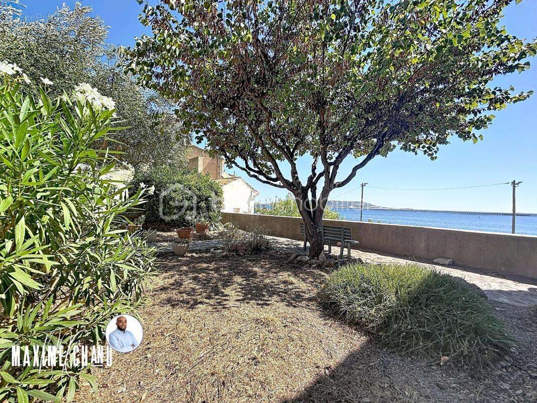 Maison vigneronne – Vue imprenable 180° sur le Bassin de Thau – Bouzigues - photo 15
