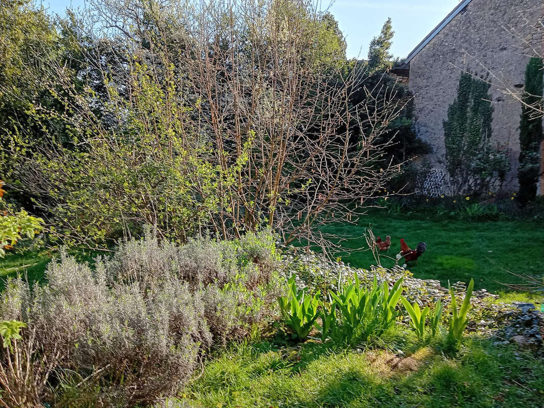 Maison à SURY-EN-VAUX