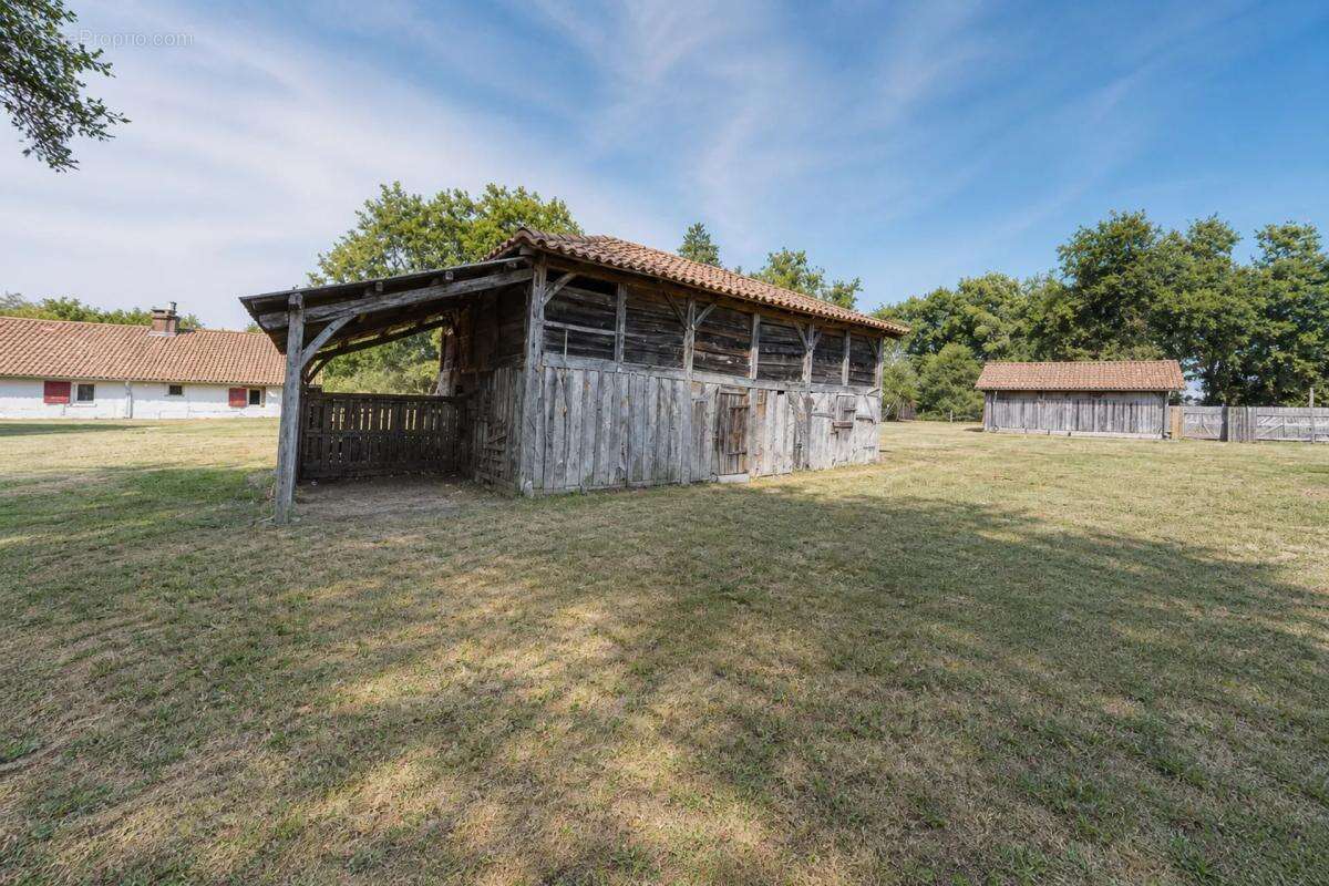 Magnifique et authentique Airial des Landes - photo 4