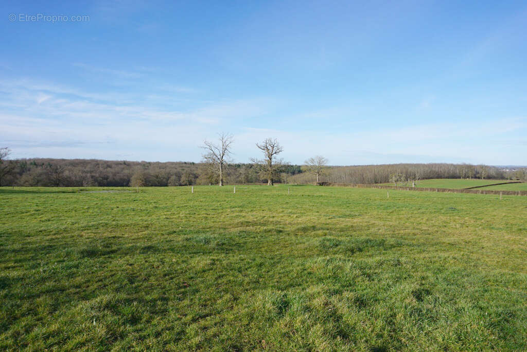 Maison à PARAY-LE-MONIAL