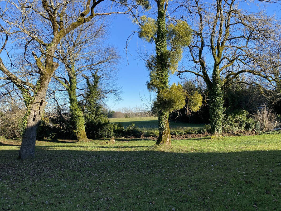 Terrain à ARNAC-POMPADOUR