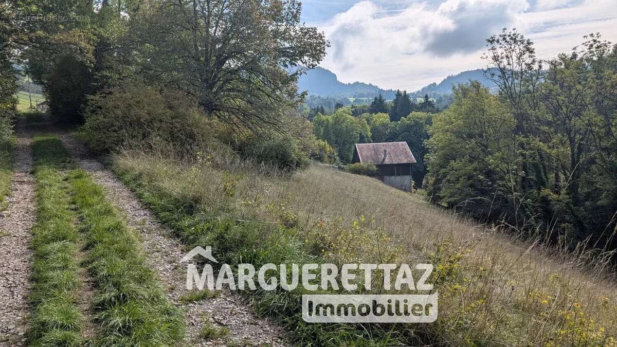 Maison à SAINT-JEAN-DE-THOLOME