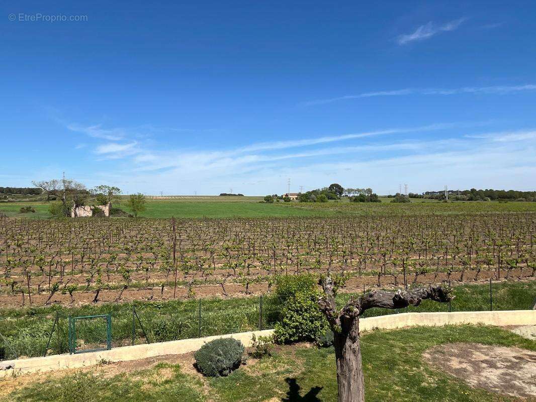 Grande Villa T5 en très bon état avec jardin, garage et terrasse. Superbe vue dégagée - photo 2