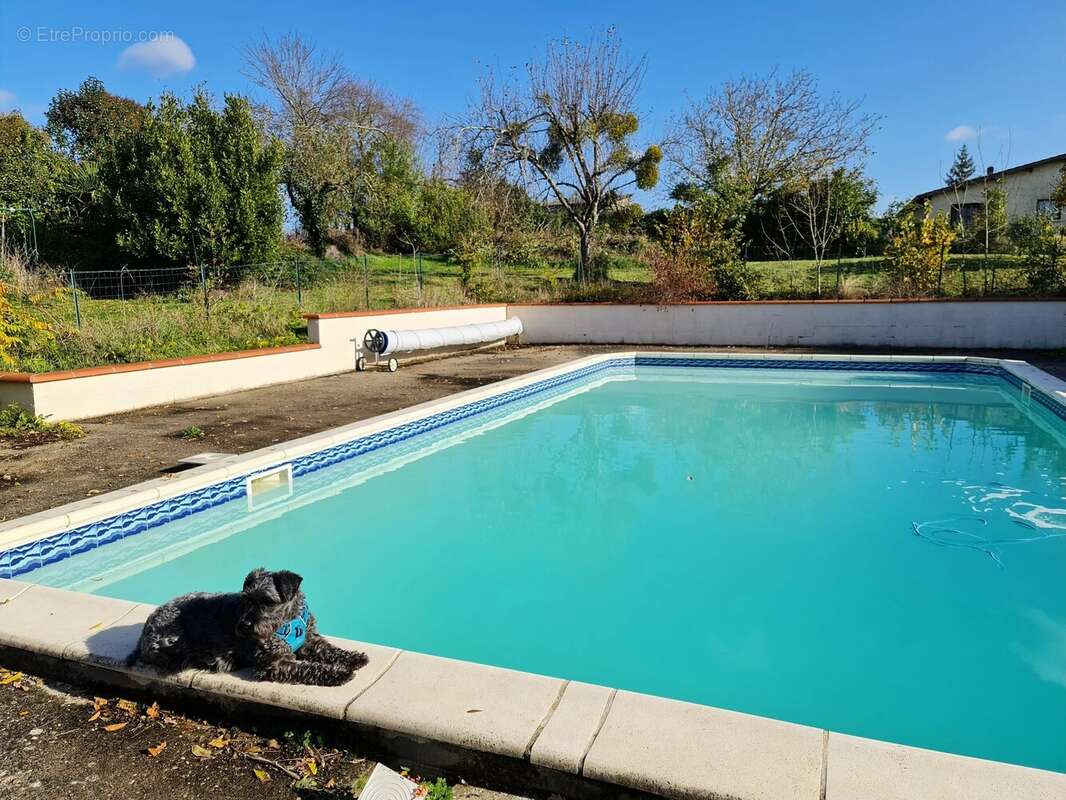Maison à SAUVETERRE-DE-GUYENNE
