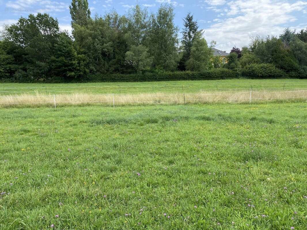 Terrain à BAVILLIERS