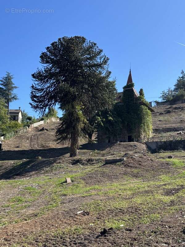 Terrain à AUREC-SUR-LOIRE