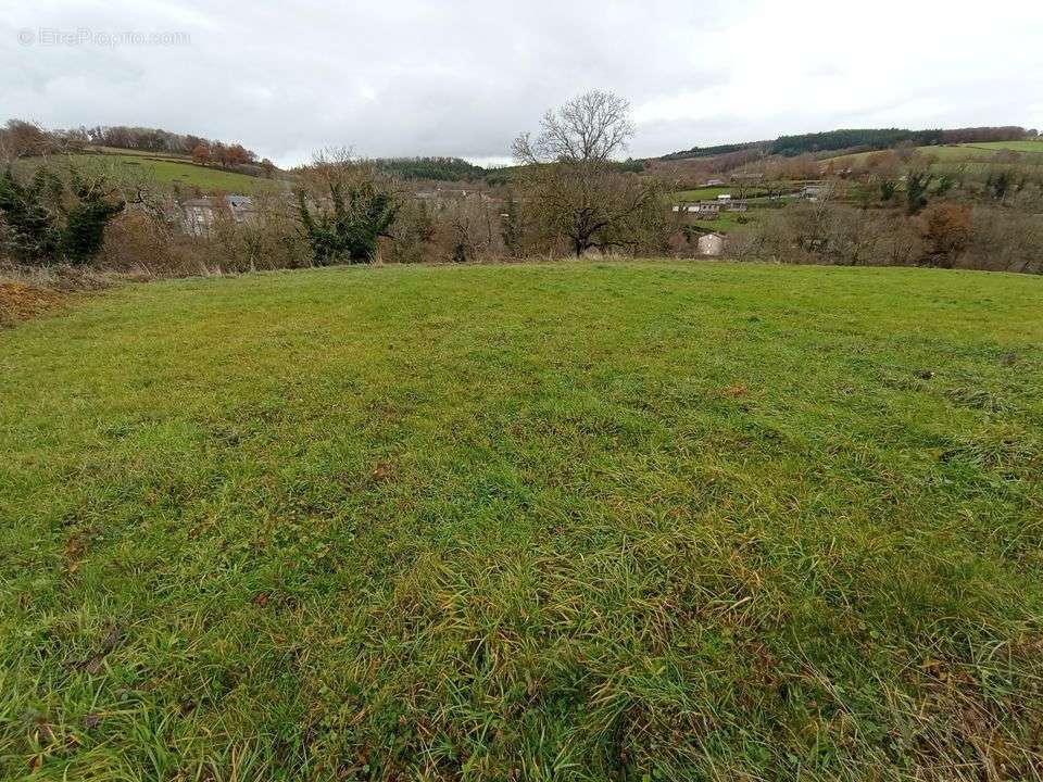 Terrain à FERRIERES-SUR-SICHON