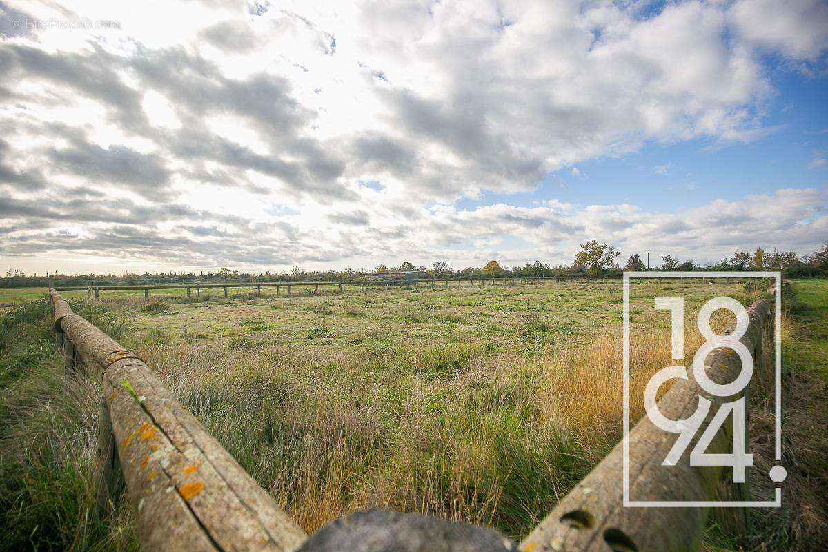 Maison à SAINT-MARTIN-DE-CRAU