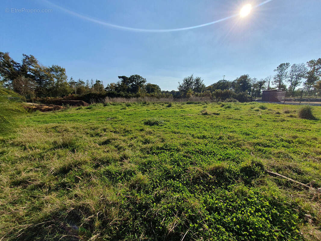 Terrain à QUIMPER