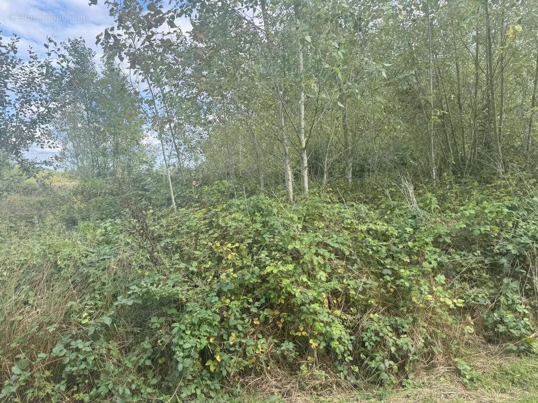 Terrain à BARZY-EN-THIERACHE