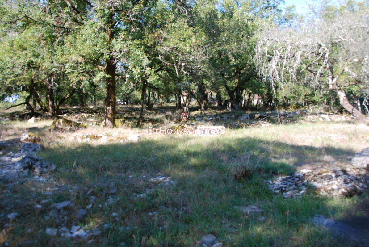 Terrain 1942 m² à Loubressac  - photo 5