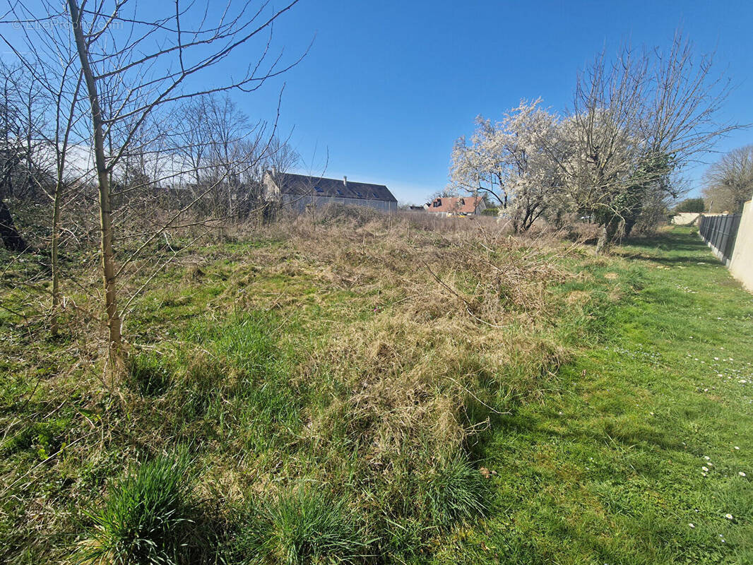 Terrain à BARBEY
