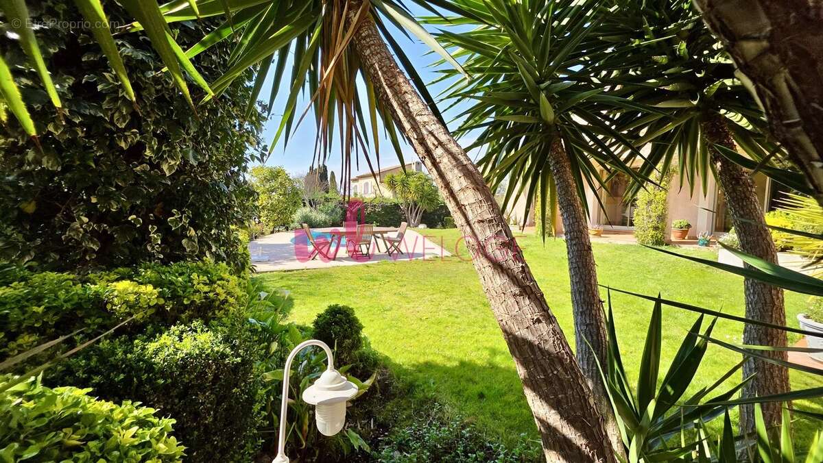 Maison à MARSEILLE-12E