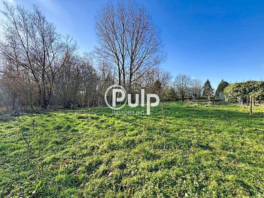 Terrain constructible 866m2 - RIEULAY - photo 3