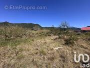 Photo 1 - Terrain à LA PLAINE-DES-PALMISTES