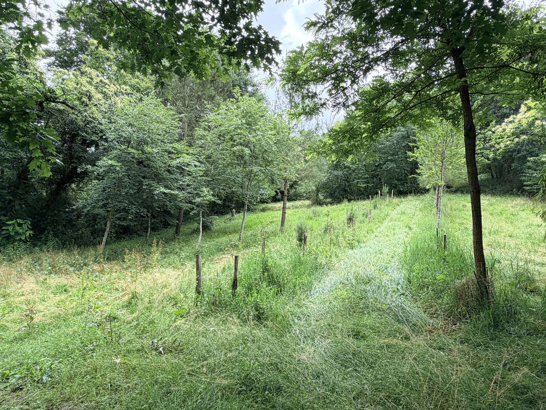 Terrain à SAINTE-COLOMBE