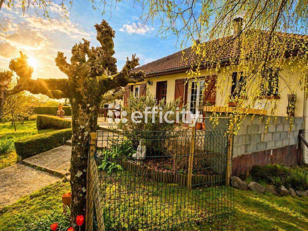 Maison à CHAILLAC-SUR-VIENNE