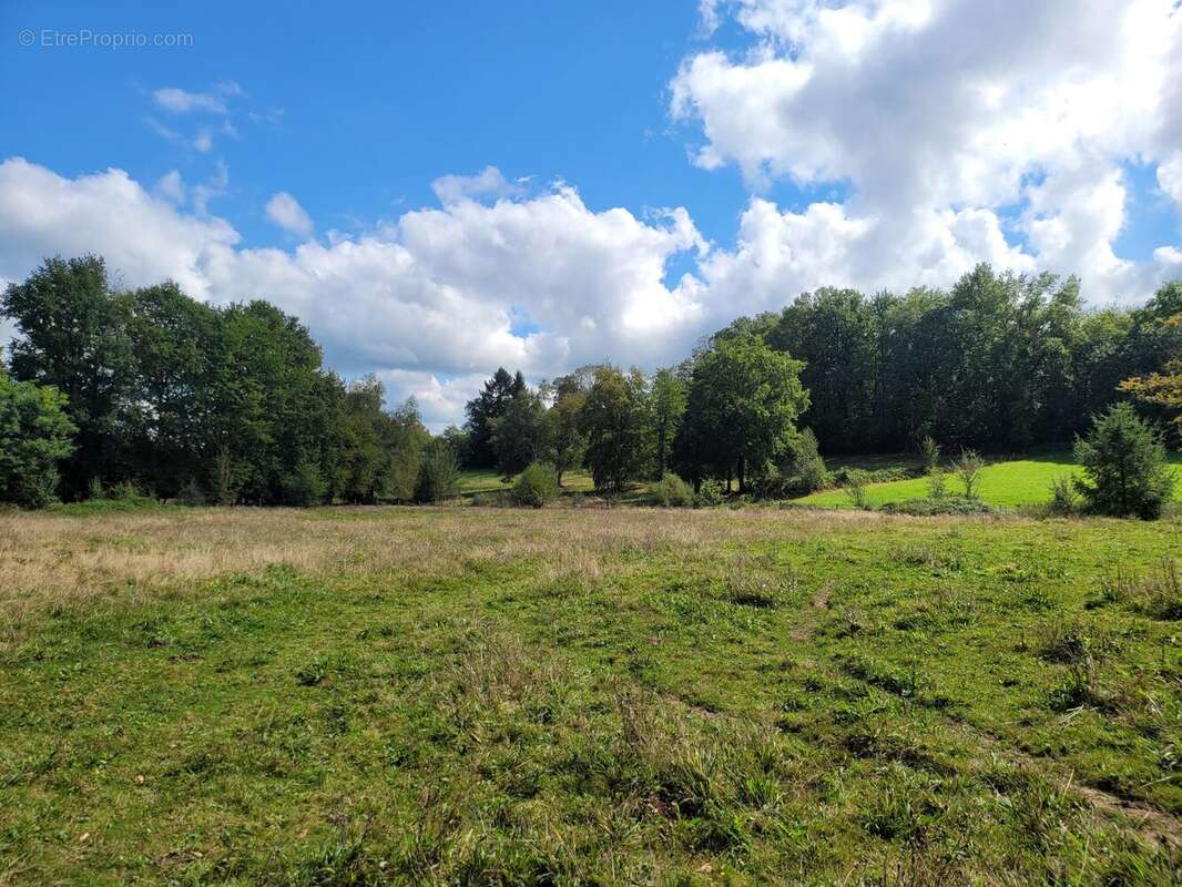 Maison à SAINT-YRIEIX-LA-PERCHE