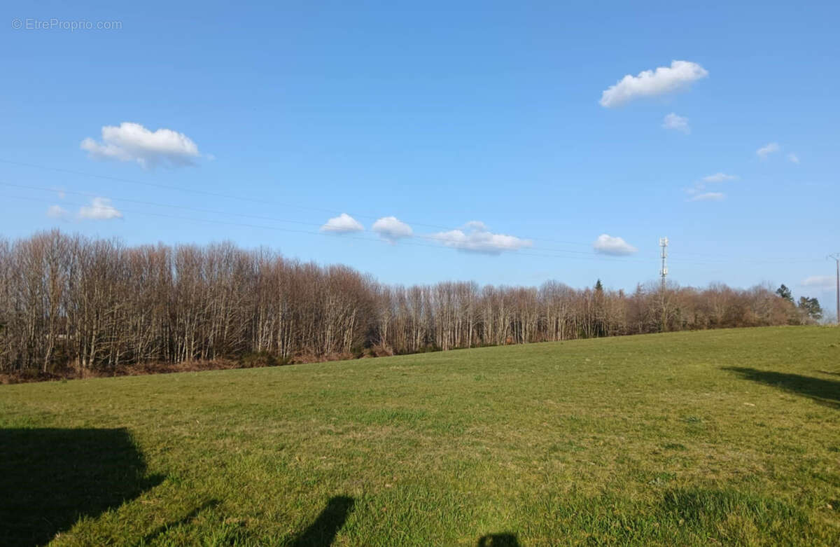Terrain à SAINT-JOUVENT