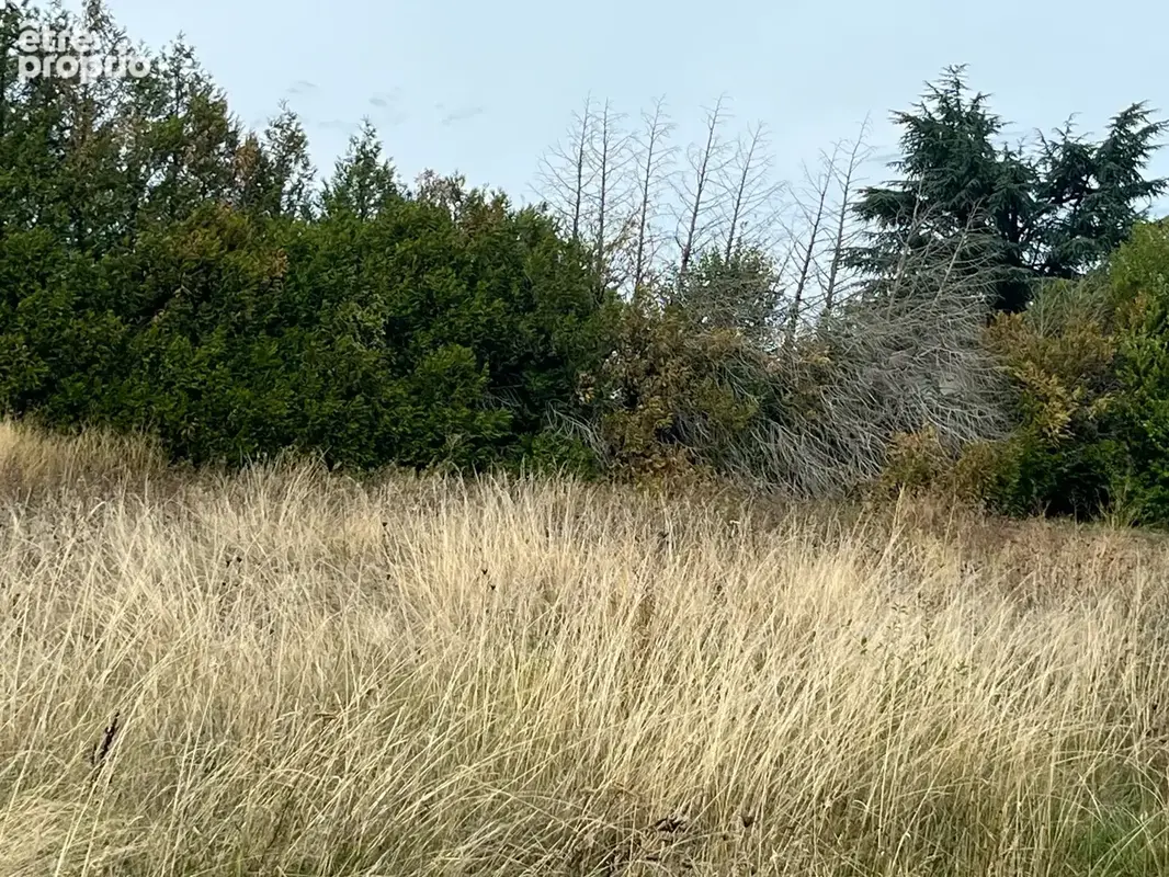 Terrain 8 ares au calme - photo 2