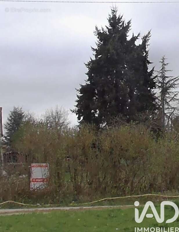 Photo 3 - Terrain à LARCHANT