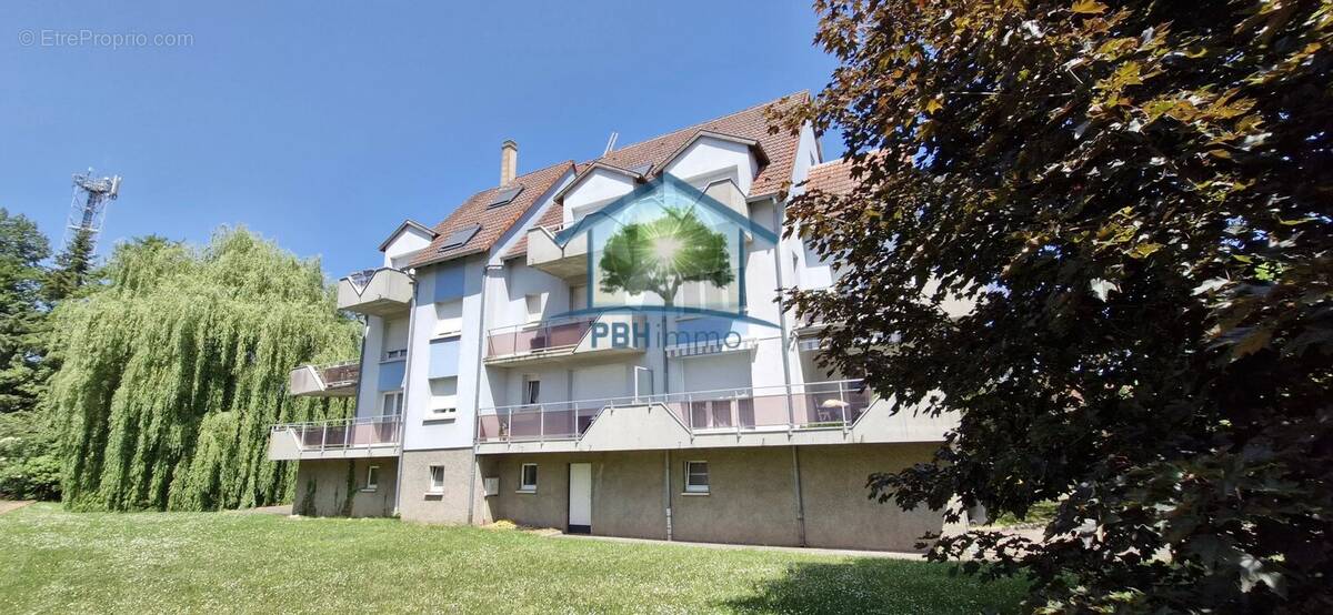 Appartement à INGWILLER