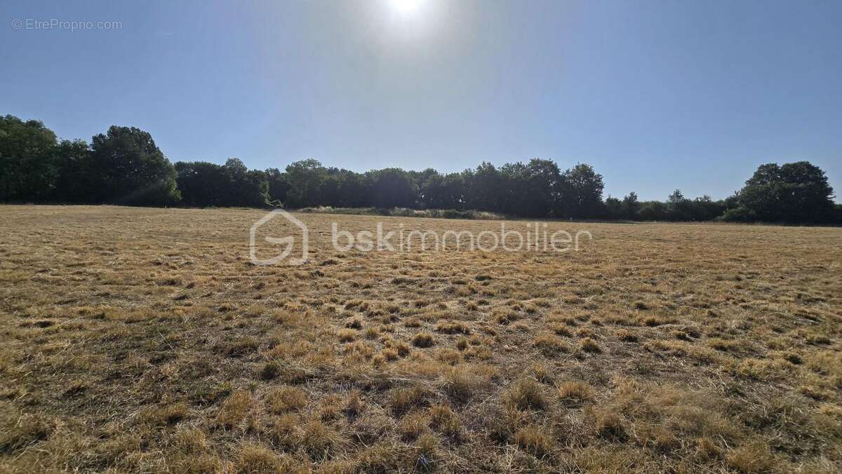 Maison spacieuse de 2019, lumineuse, quatre chambres, bureau, garage, grand terrain agricole - photo 23
