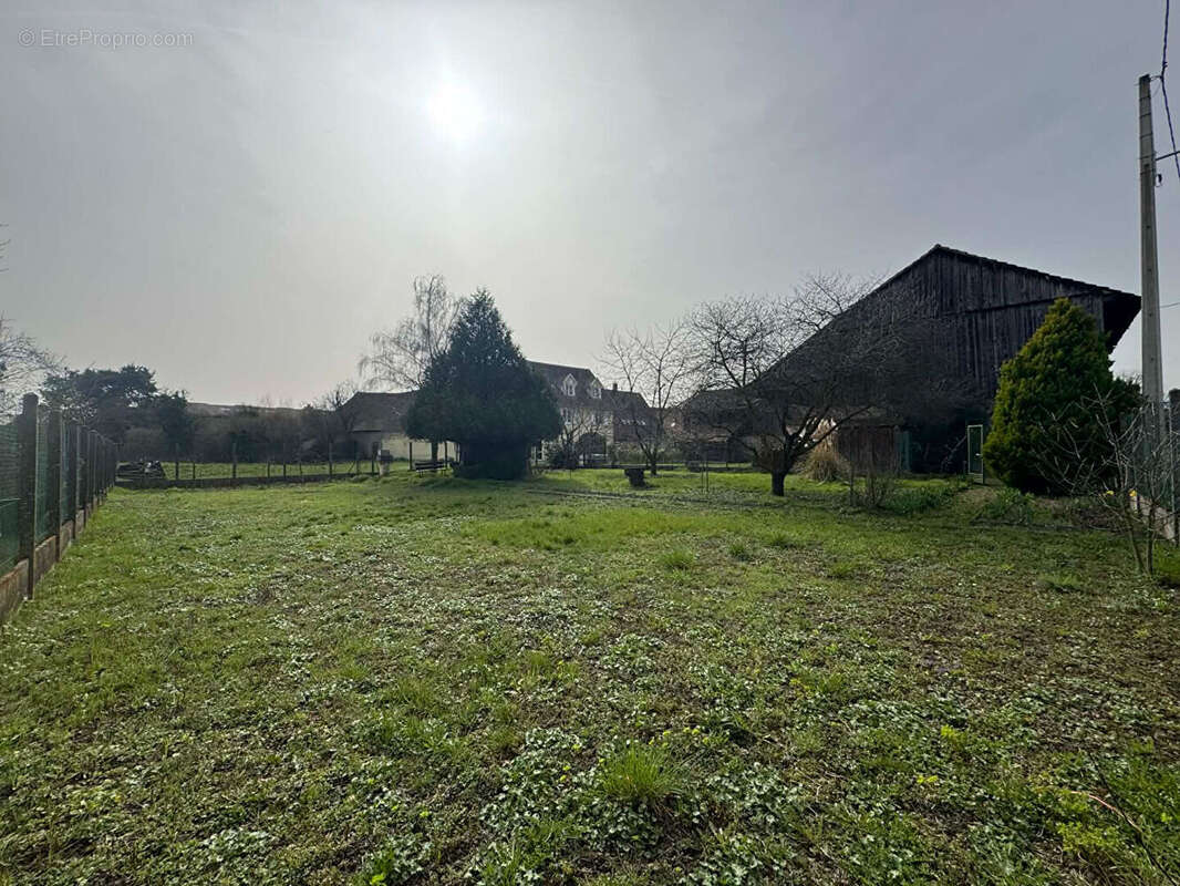 Terrain à GUNDOLSHEIM