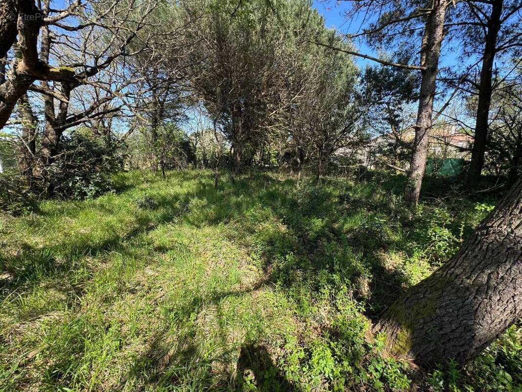 Photo 2 - Terrain à CHATEAU-D&#039;OLONNE