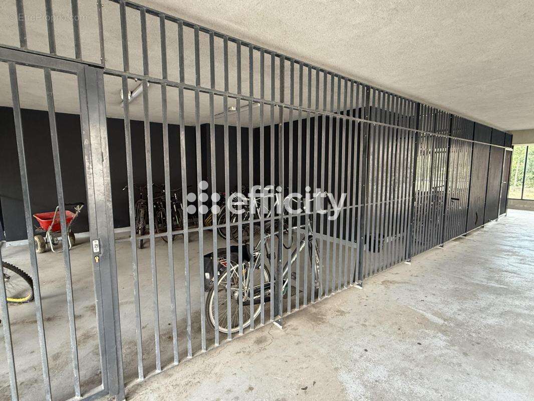 Appartement - photo 11