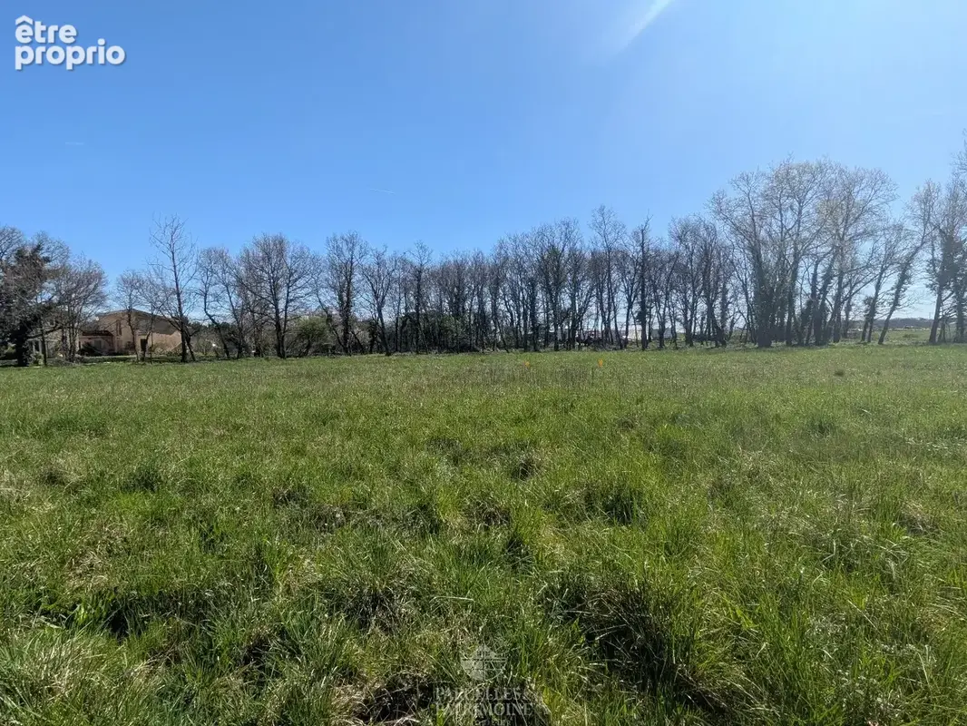 Terrain à MURET